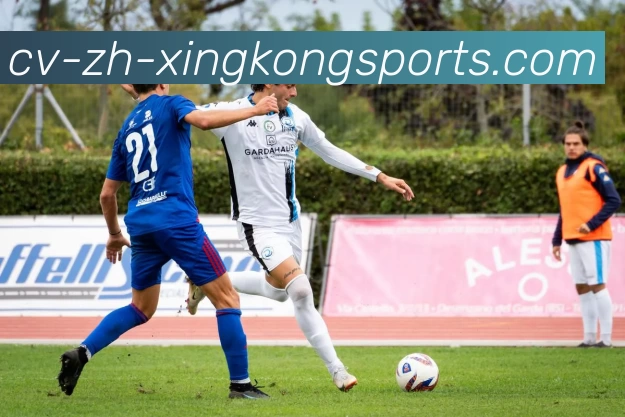 星空官网服务体系